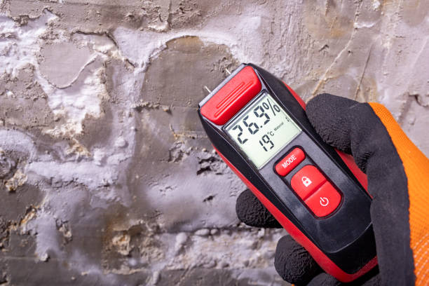 Best Post-Flood Mold Remediation in Crestview, FL