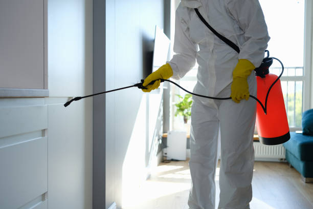 Best Industrial Mold Remediation in Crestview, FL